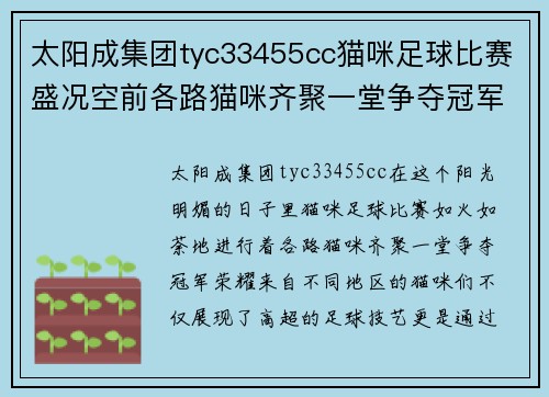 太阳成集团tyc33455cc猫咪足球比赛盛况空前各路猫咪齐聚一堂争夺冠军荣耀